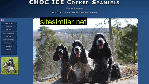 Chocicecockers similar sites