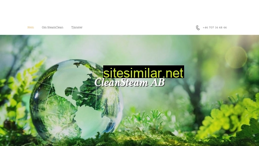 cleansteam.se alternative sites