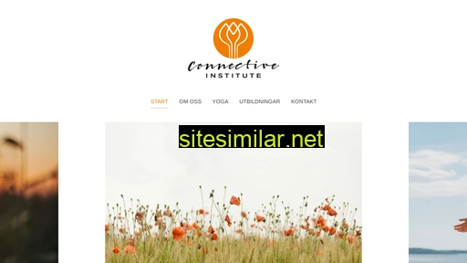 connectiveinstitute.se alternative sites
