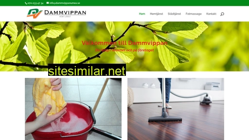 dammvippanumea.se alternative sites