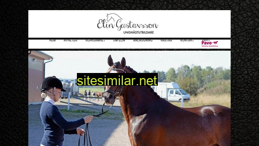 elingustavsson.se alternative sites