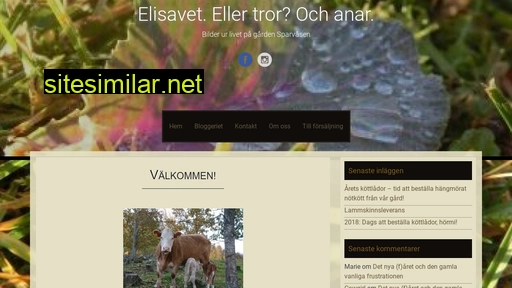elisavet.se alternative sites