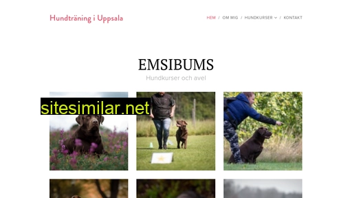emsibums.se alternative sites