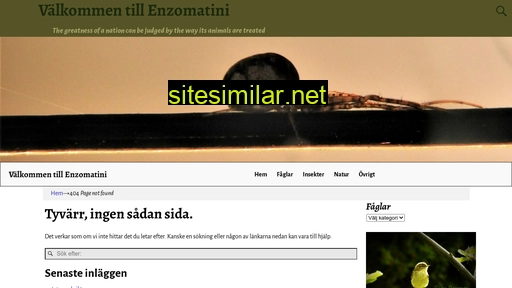 enzomatini.se alternative sites