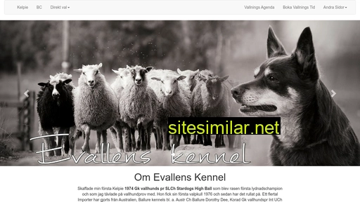 evallens.se alternative sites