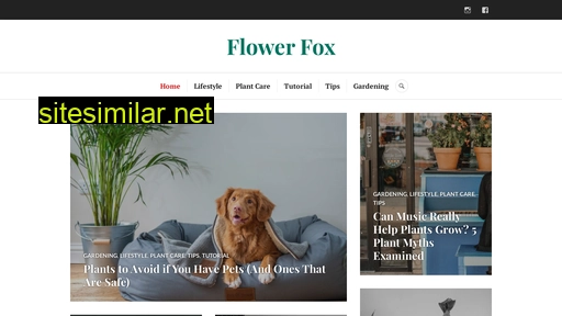 flowerfox.se alternative sites