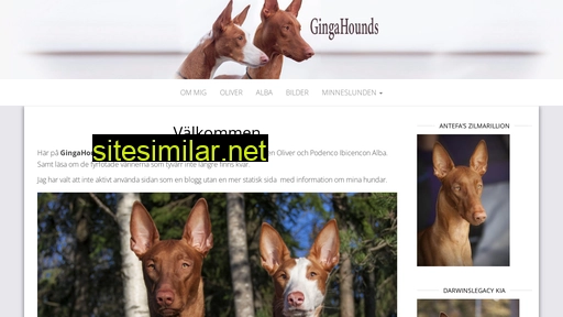 ginga.se alternative sites