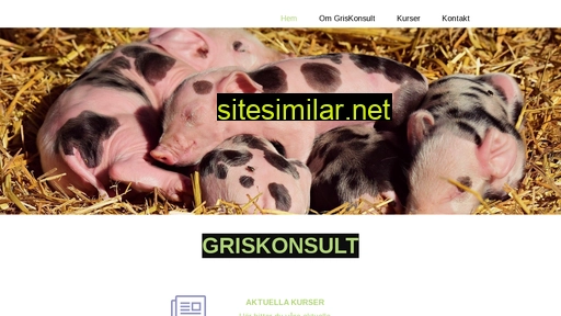 griskonsult.se alternative sites