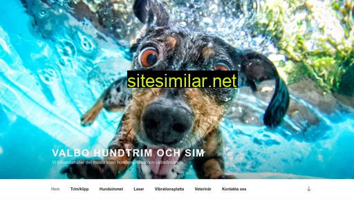 hundtrimochsim.se alternative sites