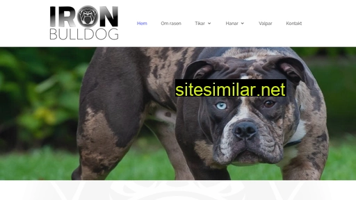 ironbulldog.se alternative sites