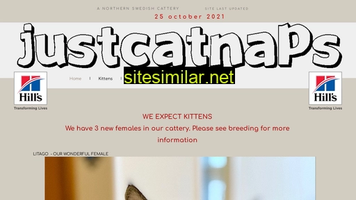 justcatnaps.se alternative sites