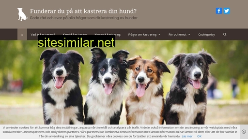 kastreringhund.se alternative sites