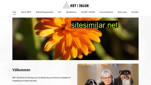 kbtifalun.se alternative sites