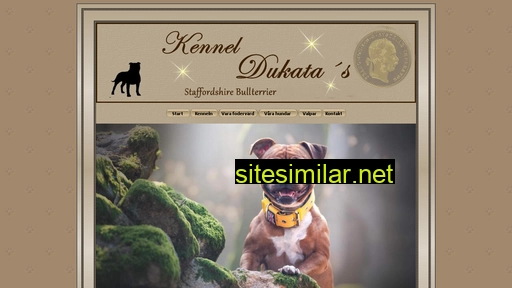 kennel-dukatas.se alternative sites