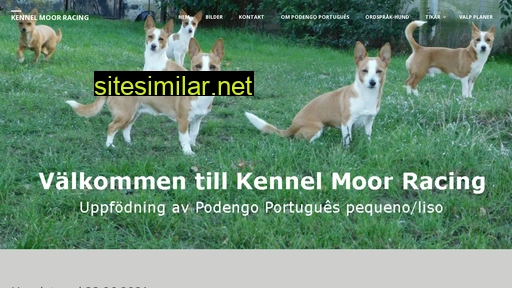 kennelmoorracing.se alternative sites