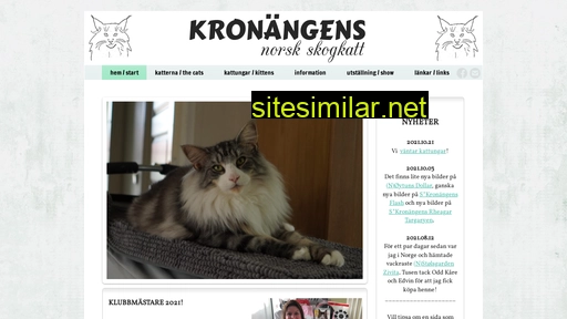 Kronangens similar sites