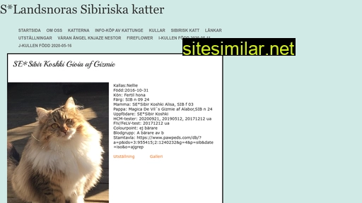 landsnoras-sibiriska-katter.se alternative sites