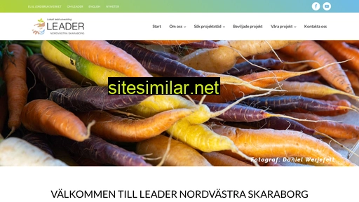 leadernvskaraborg.se alternative sites