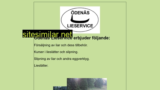 lieservice.se alternative sites