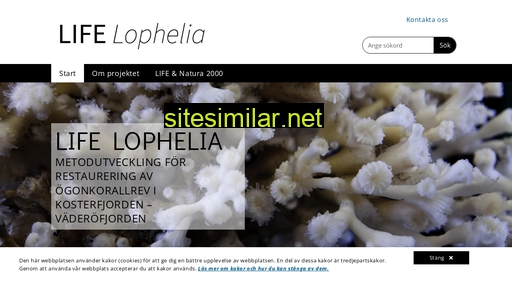 Lifelophelia similar sites