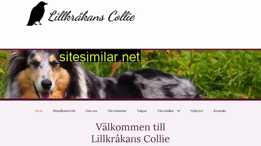 lillkrakans.se alternative sites