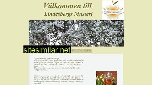 lindesbergsmusteri.se alternative sites