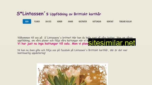 lintassens.se alternative sites