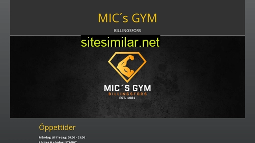 micsgym.se alternative sites