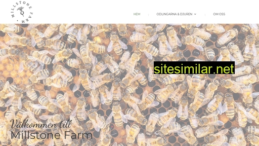 millstonefarm.se alternative sites