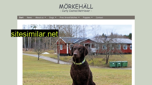 morkehall.se alternative sites