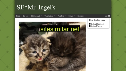 mr-ingels.se alternative sites