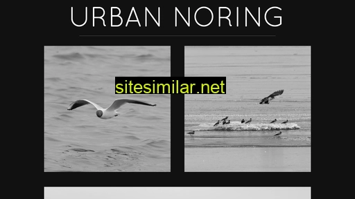 norings.se alternative sites