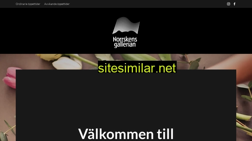 norrskensgallerian.se alternative sites