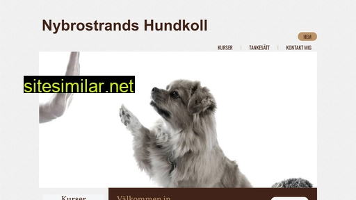 nybroshundkoll.se alternative sites