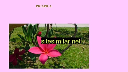 picapica.se alternative sites