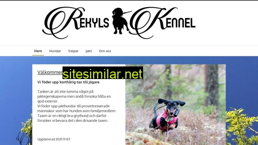 rekyls.se alternative sites