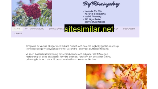 Ronningeborg similar sites