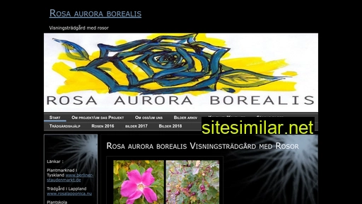 Rosaauroraborealis similar sites