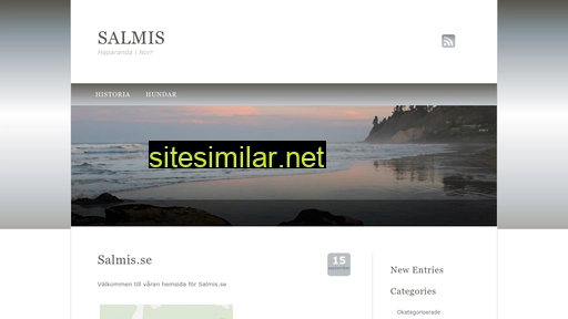 salmis.se alternative sites