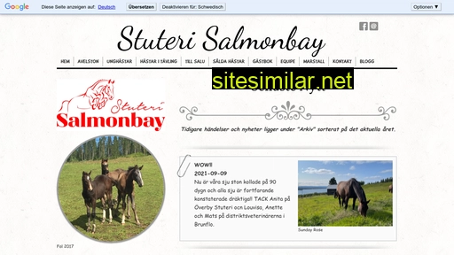 salmonbay.se alternative sites