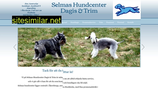 selmashundcenter.se alternative sites