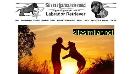 silverstjarnan.se alternative sites