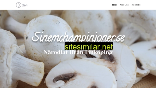 sinemchampinjoner.se alternative sites