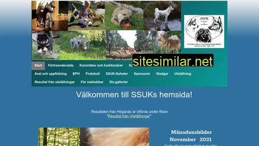 ssuk.se alternative sites