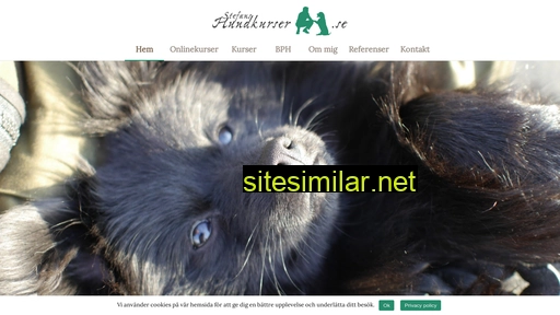 stefanshundkurser.se alternative sites