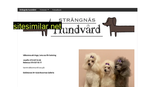Strangnashundfrisor similar sites