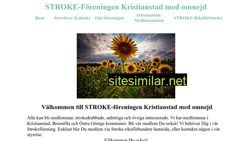 strokekristianstad.se alternative sites