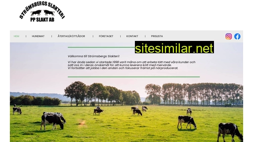 stromsbergsslakteri.se alternative sites