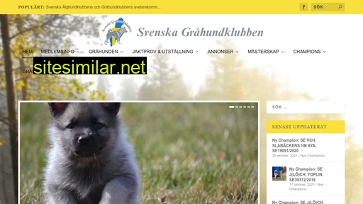 Svenskagrahundklubben similar sites