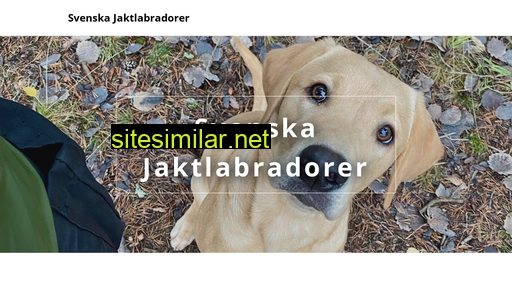 svenskajaktlabradorer.se alternative sites